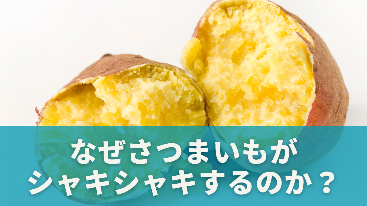 なぜさつまいもがシャキシャキするのか？