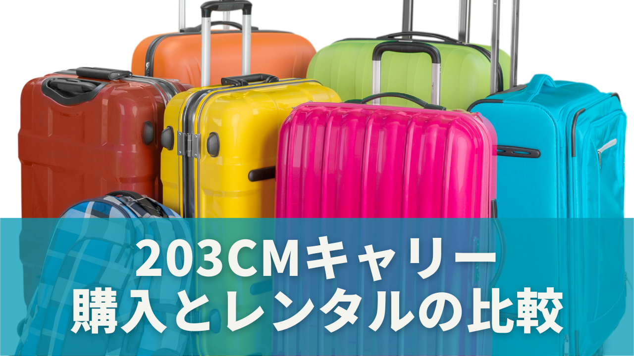203cmキャリーは使いやすい？購入とレンタルの比較