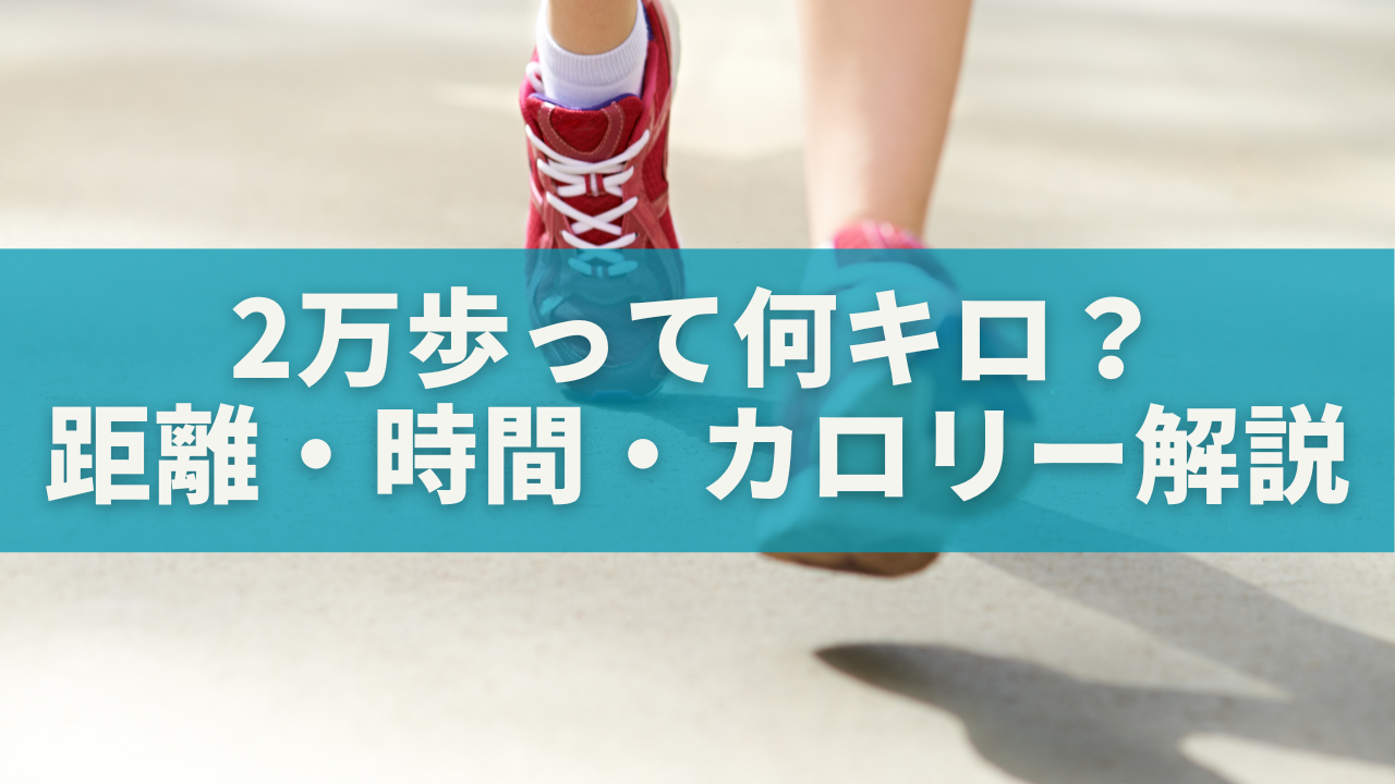 2万歩って何キロ？距離・時間・カロリーを実体験で徹底解説！