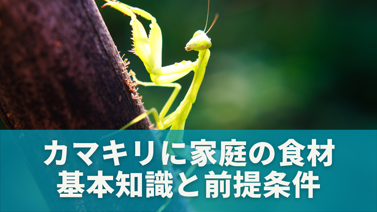 カマキリに家庭の食材を与えてもいいの？基本知識と前提条件