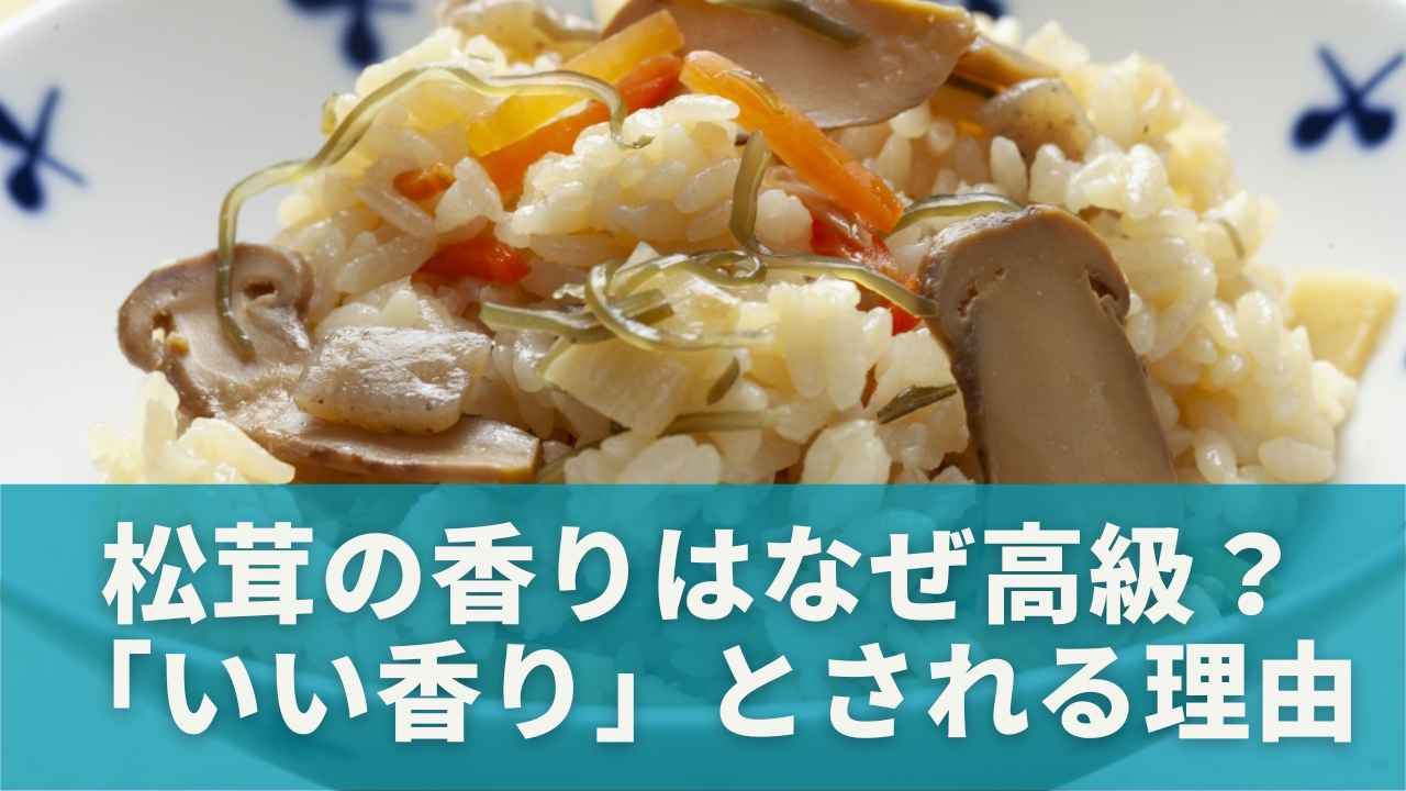 松茸の香りはなぜ高級とされるのか？｜「いい香り」とされる理由を解説