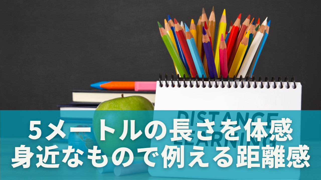 5メートルの長さを体感できる！身近なもので例える距離感