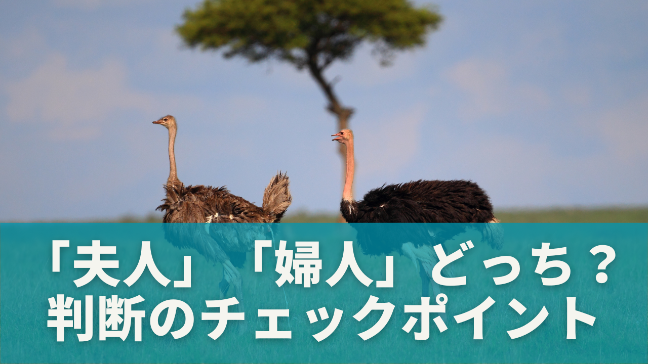 「夫人」「婦人」で迷ったら？判断のためのチェックポイント