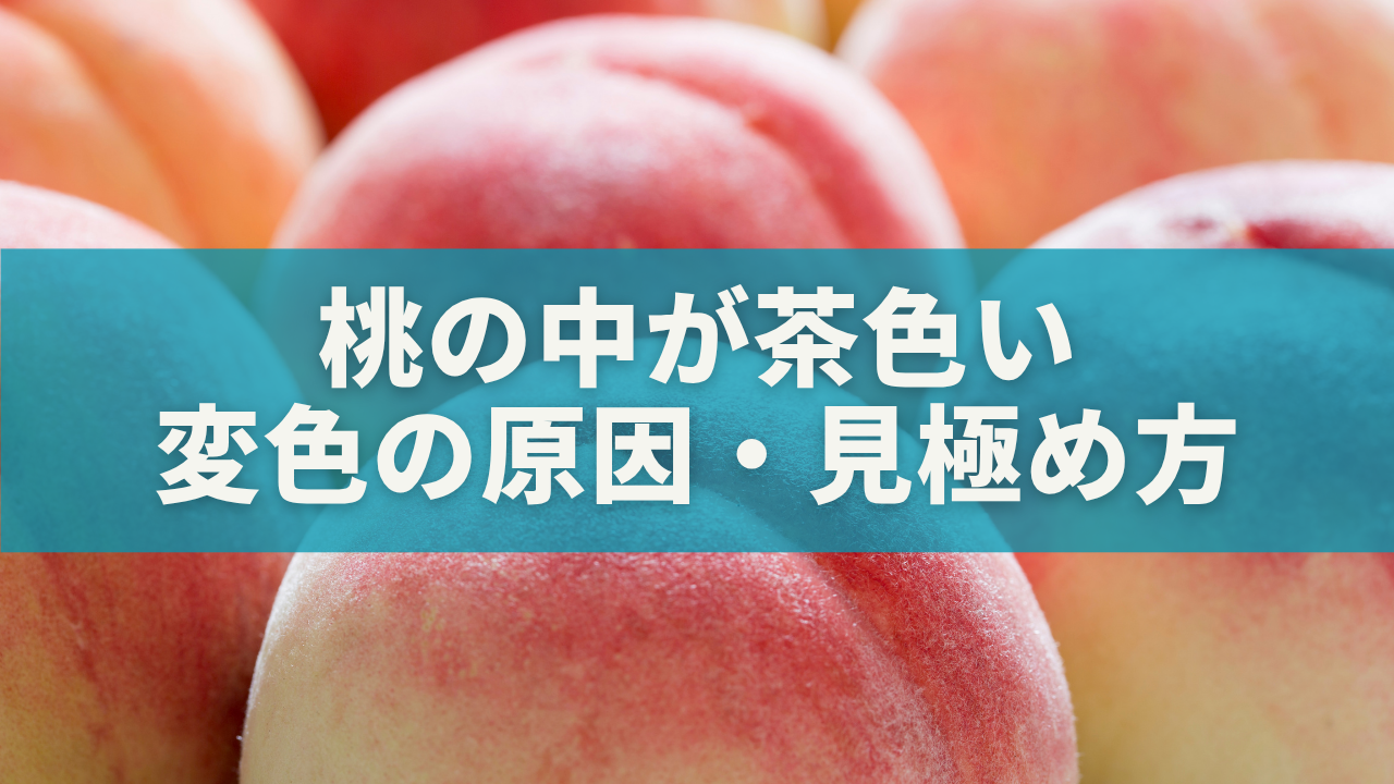 桃の中が茶色いけど食べられる？変色の原因・見極め方・活用法まで完全ガイド！を選択 桃の中が茶色いけど食べられる？変色の原因・見極め方・活用法まで完全ガイド！