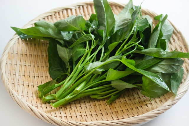 空芯菜が育ちすぎた！原因と対処法・栽培のコツを完全ガイド