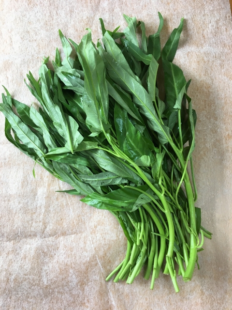 空芯菜が育ちすぎる原因とは？【栽培環境の見直しポイント】